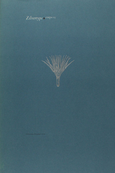 Botermans, J.P. (Inleiding). Zilvertype. Corps 15.