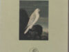 Enquist, Anna. Jachtscènes.