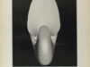 Newhall, Nancy (ed.). Edward Weston: The Flame of Recognition: His Photographs Accompanied by Excerpts from the Daybooks & Letters.