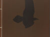 Poe, Edgar Allan. The raven.