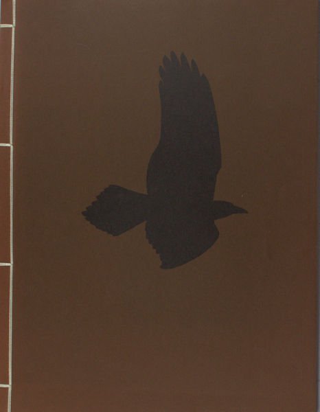 Poe, Edgar Allan. The raven.