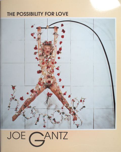 Gantz, Joe. The possibility for love.