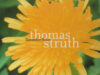 Struth, Thomas. Dandelion Room.