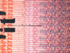 Lof, Nico van (red.). 'It' - drukwerk van Emile Puettmann.