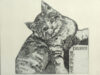 Blokhuis, Henk Exlibris voor Ank Spronk.