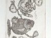Steenvoorden, Ab. Exlibris voor Cor Vogel.