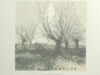 Baeyens, Martin R. Exlibris voor Lotte Hausweiler.