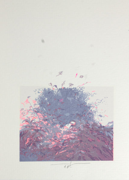 Baeyens, Martin R. Natuurimpressie.