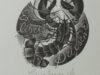 Grootaers, Marianne. Exlibris voor E. Driesen.
