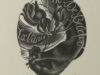 Grootaers, Marianne. Exlibris voor M. De Belder.