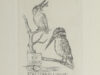 Hauke, Hans. Exlibris voor Edeltraud Hinke.