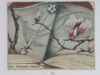 Werner, Josef. Exlibris voor Werner Grebe.