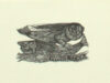 Strik, Lou. Exlibris voor Maartje Strik.