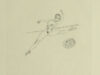 Zwiers, Wim. Exlibris voor Geert H. van der zee.