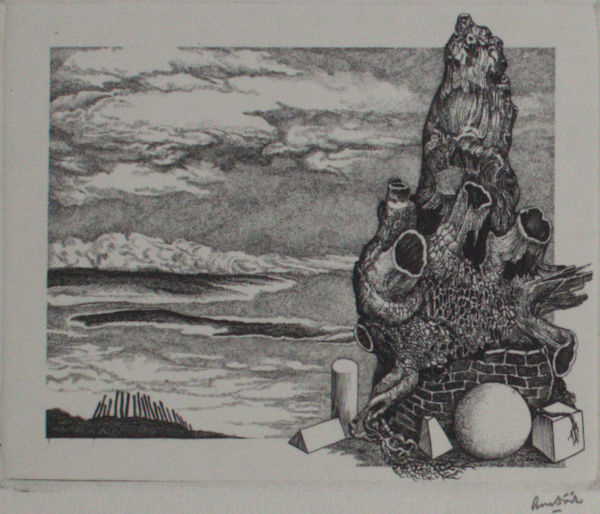 Strik, Lou. Fantastische boomstronk tegen een wolkenlucht.