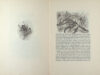 Gaetano, S. (=J.M. Prange). Helse schepping.