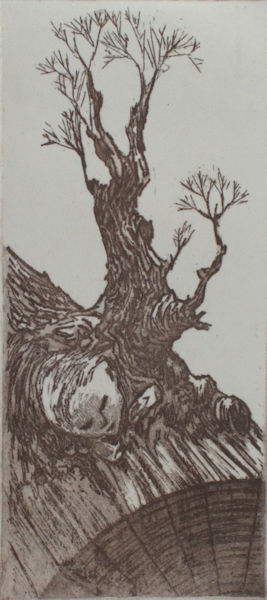 Vries, Yvonne de. Boom met gezicht.