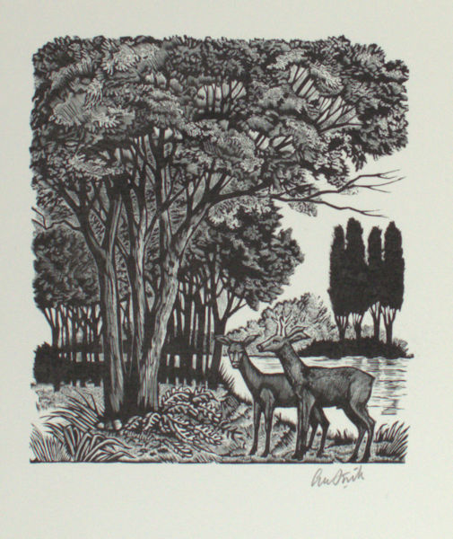 Strik, Lou. Twee herten bij bosvijver.