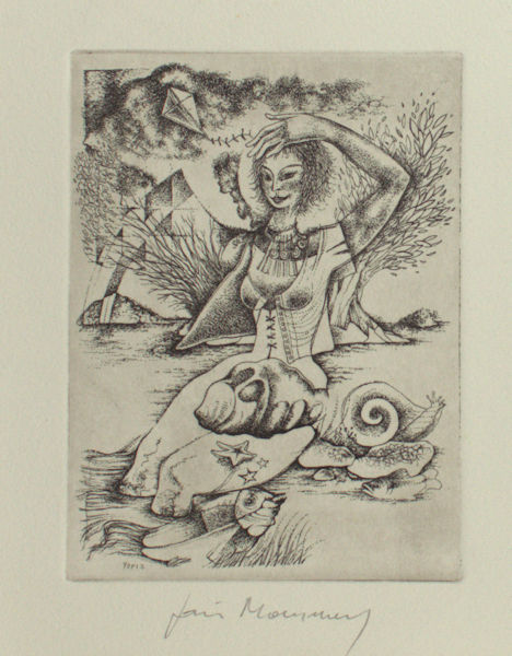 Mommen, Joris. 'Natuurfantasie'