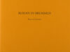 Zomeren, Koos van. Roman in Brummen