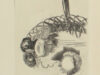 Bogaard, Pieter van den. (Krans met bloemen).