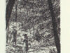 Vries, Theun de. De verdwijning van Monsieur Cambert.