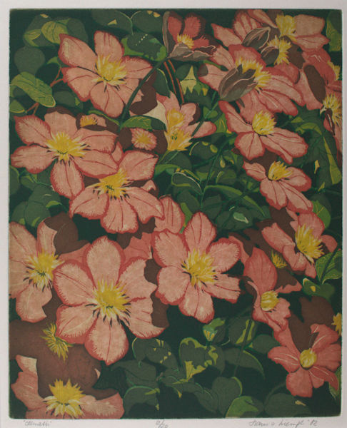 Liempt, Hans van. Clematis.