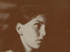 Dizenzo, Patricia. Phoebe.