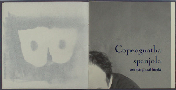 Schroot, Wim & Alex Barbaix (gemaakt door). Copeognatha spanjola (loodluis) een marginaal insect.