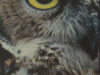 Sweeney, Matthew. The Owl.