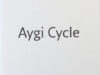 Palmer, Michael. Aygi cycle.