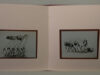 Schroevers, Marinus & Dirk de Herder (foto's). Jaroslawa Dankowa of de adem van het beeld. Verslag van een ontmoeting. Met fotografisch commentaar.