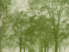 Jongens, Cor. Het Holtland. Feiten, cijfers en meningen over bos, bomen en hout in Nederland.