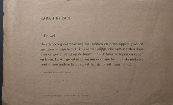 Kirsch, Sarah De wei.
