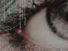 Kuitenbrouwer, Carel. De Best Verzorgde Boeken 2001. The Best Book Designs 2001
.