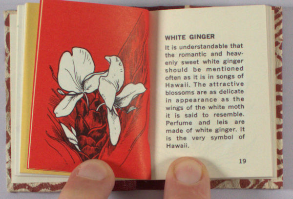 Kochan, Bernice. The little book of Hawaiian flowers.