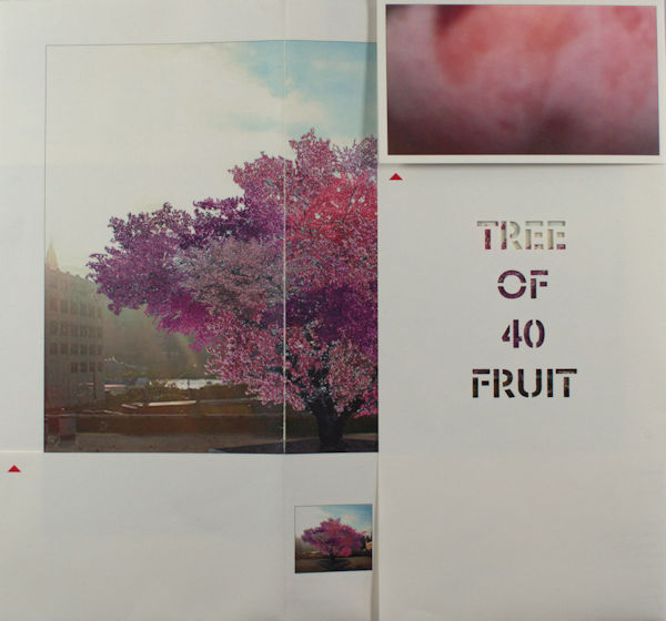 Aken, Sam Van. Tree of fruit.